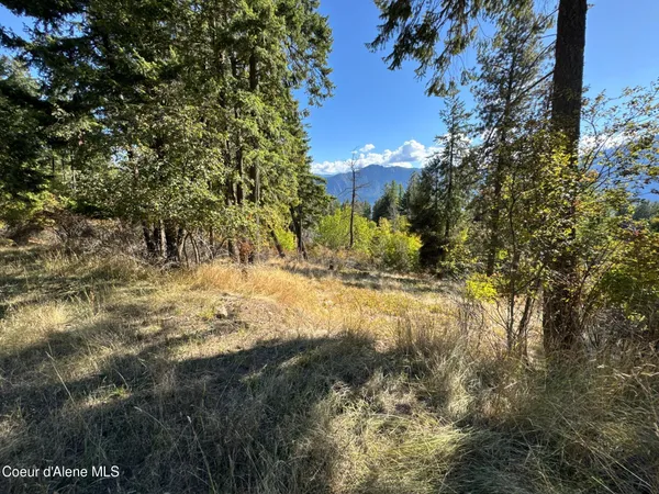 $250,000 | L21-l22 North Terrace Drive, Bayview, ID 83803