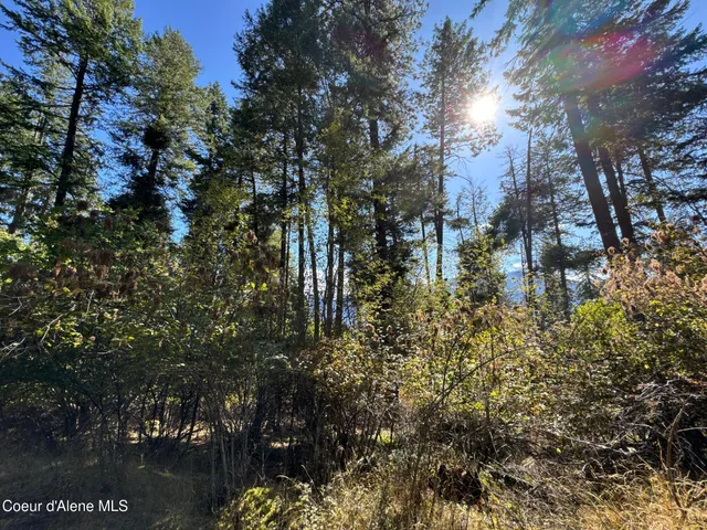 $250,000 | L21-l22 North Terrace Drive, Bayview, ID 83803