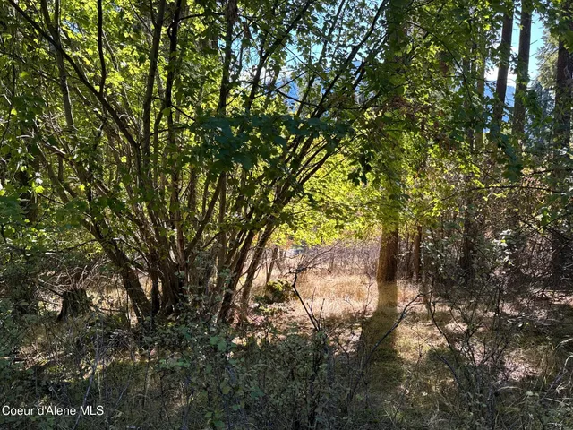 $250,000 | L21-l22 North Terrace Drive, Bayview, ID 83803