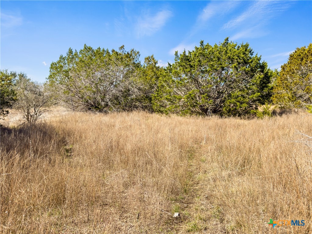 535 Left Fork Place Spring Branch, TX 78070 - Photo 11 of 34 a view of ocean