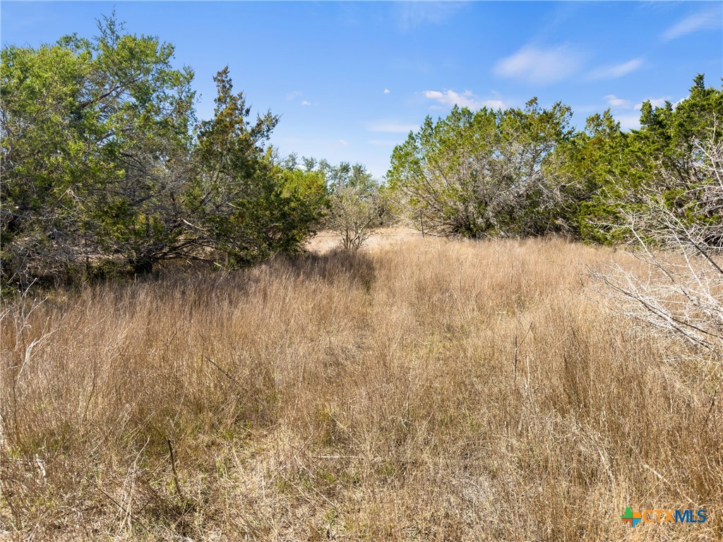 535 Left Fork Place Spring Branch, TX 78070 - Photo 12 of 34 a view of a lake with a tree in the background