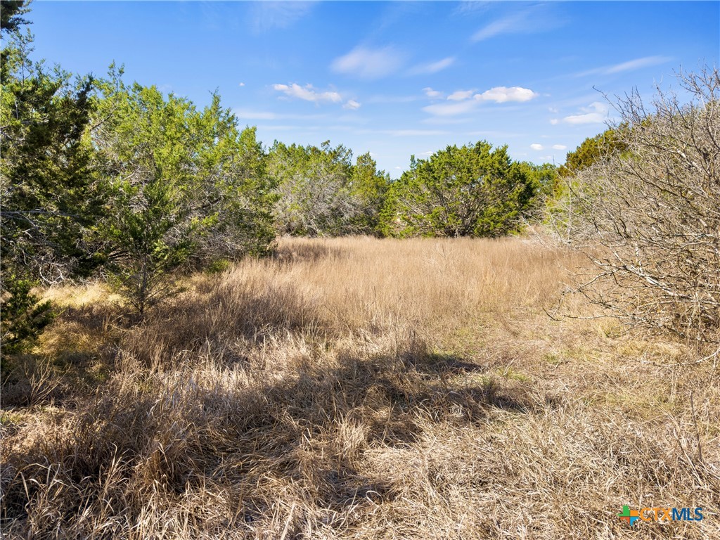 535 Left Fork Place Spring Branch, TX 78070 - Photo 13 of 34 a view of a lake