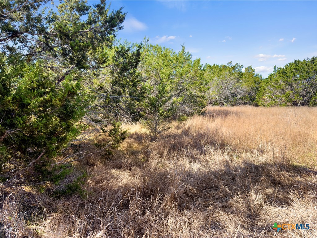 535 Left Fork Place Spring Branch, TX 78070 - Photo 14 of 34 a view of a lake with a tree