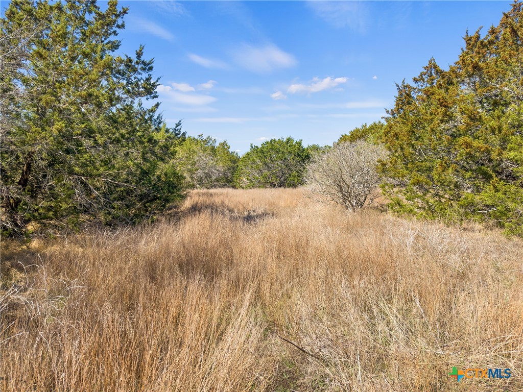535 Left Fork Place Spring Branch, TX 78070 - Photo 15 of 34 a view of mountain view with lush green trees