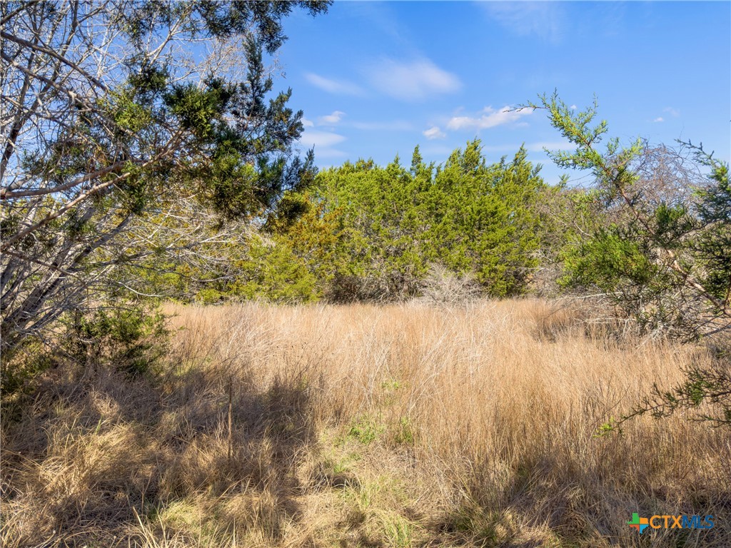 535 Left Fork Place Spring Branch, TX 78070 - Photo 16 of 34 a view of a lake with a yard