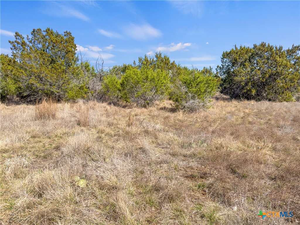 535 Left Fork Place Spring Branch, TX 78070 - Photo 17 of 34 a view of a yard with a tree