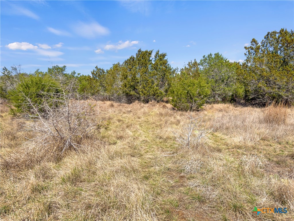 535 Left Fork Place Spring Branch, TX 78070 - Photo 18 of 34 a view of a yard with a tree