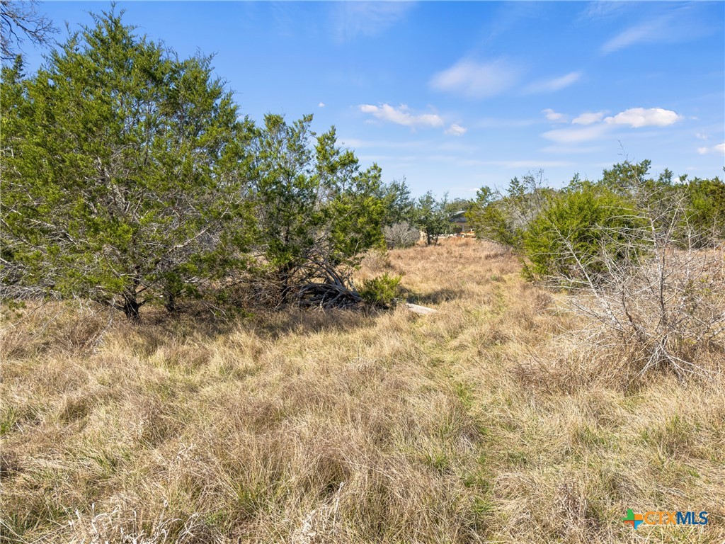 535 Left Fork Place Spring Branch, TX 78070 - Photo 19 of 34 a view of a yard with a tree