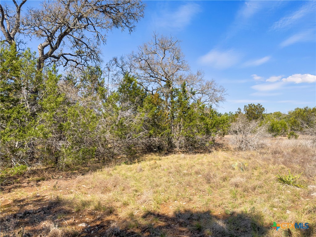 535 Left Fork Place Spring Branch, TX 78070 - Photo 2 of 34 a view of a yard covered in snow
