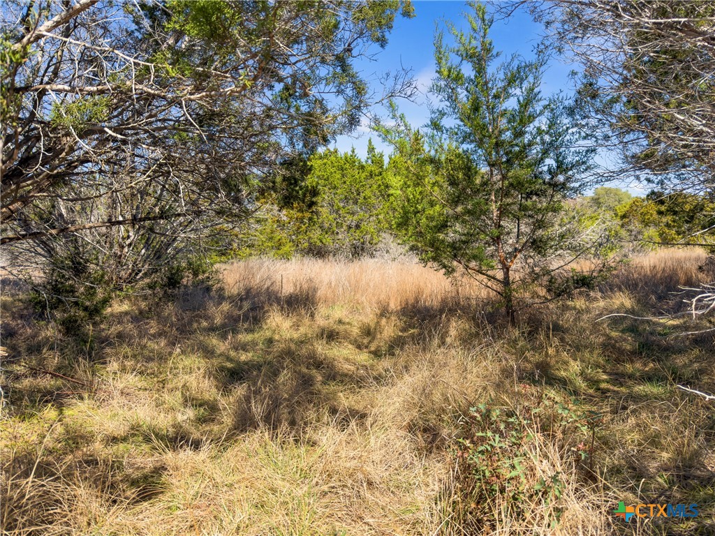 535 Left Fork Place Spring Branch, TX 78070 - Photo 21 of 34 a view of a lake with a tree