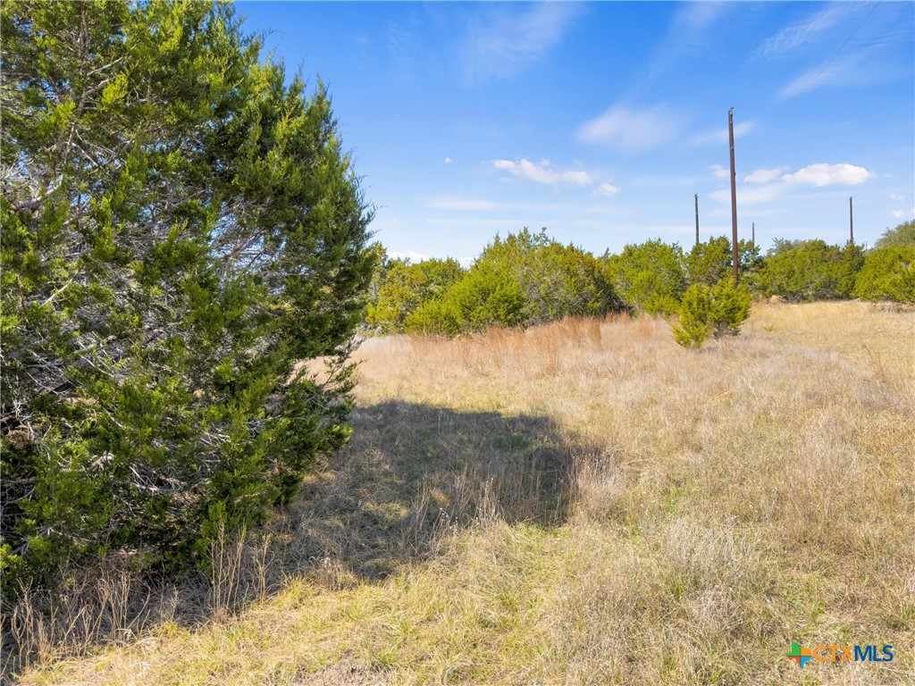 535 Left Fork Place Spring Branch, TX 78070 - Photo 22 of 34