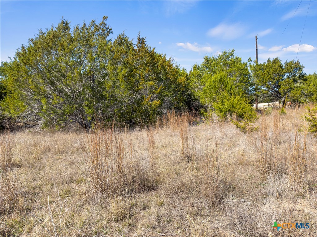 535 Left Fork Place Spring Branch, TX 78070 - Photo 23 of 34