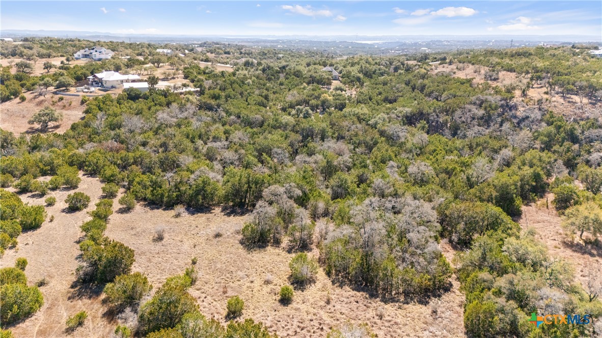 535 Left Fork Place Spring Branch, TX 78070 - Photo 26 of 34 a view of a big yard with lots of trees