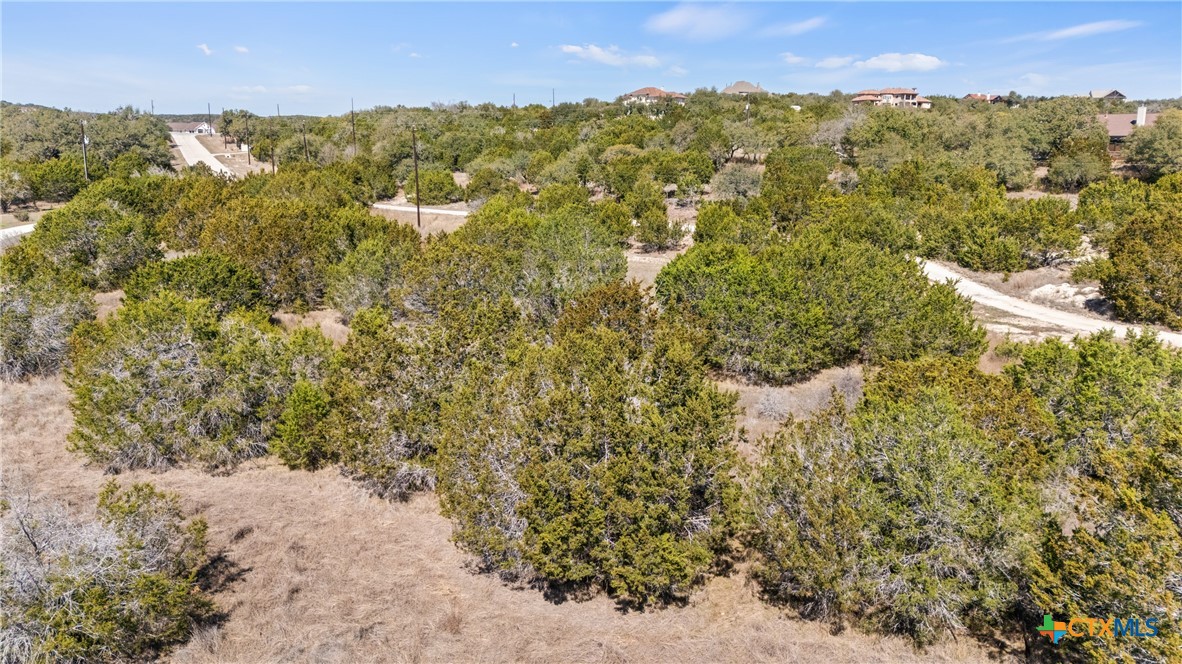 535 Left Fork Place Spring Branch, TX 78070 - Photo 29 of 34 a view of a field with mountains in the background