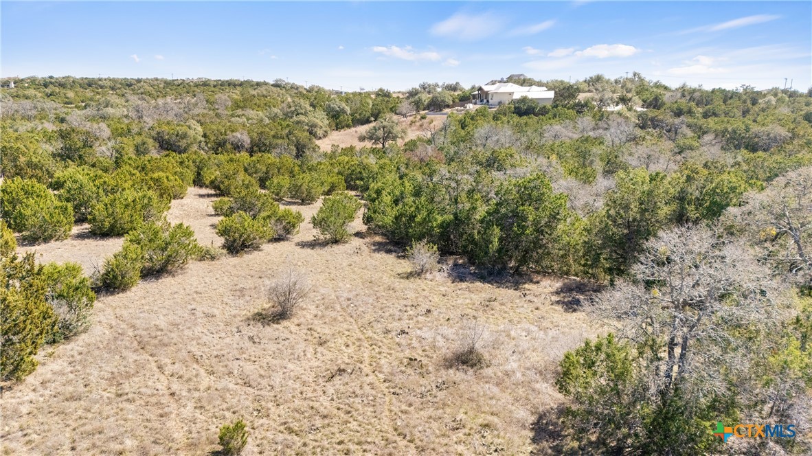 535 Left Fork Place Spring Branch, TX 78070 - Photo 30 of 34 a view of a yard with a mountain
