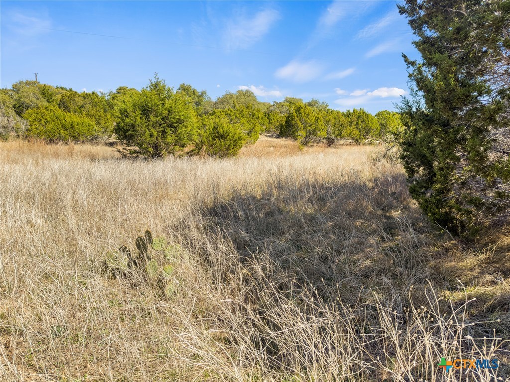 535 Left Fork Place Spring Branch, TX 78070 - Photo 6 of 34 a view of lake with mountain in background