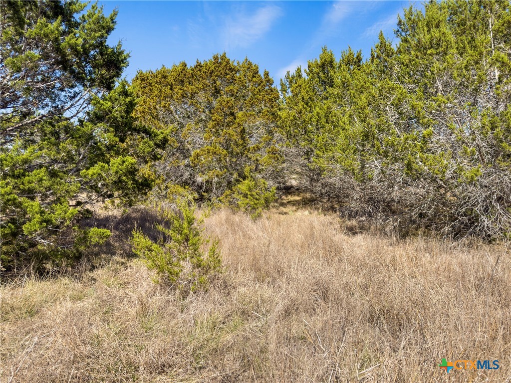 535 Left Fork Place Spring Branch, TX 78070 - Photo 9 of 34 a view of a lake