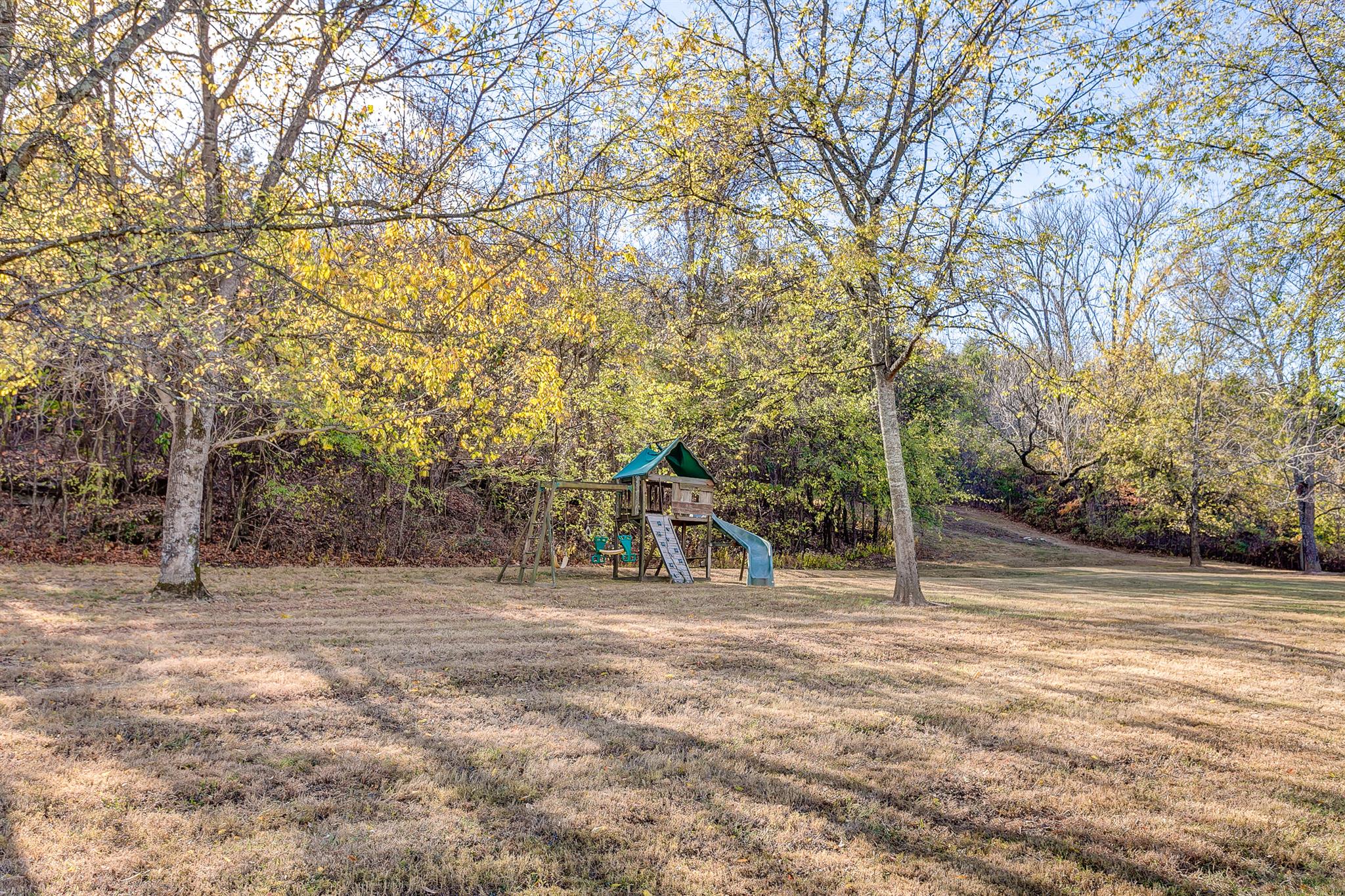 6679 Cross Keys Road College Grove, TN 37046 - Photo 20 of 20 Gallery Image 20