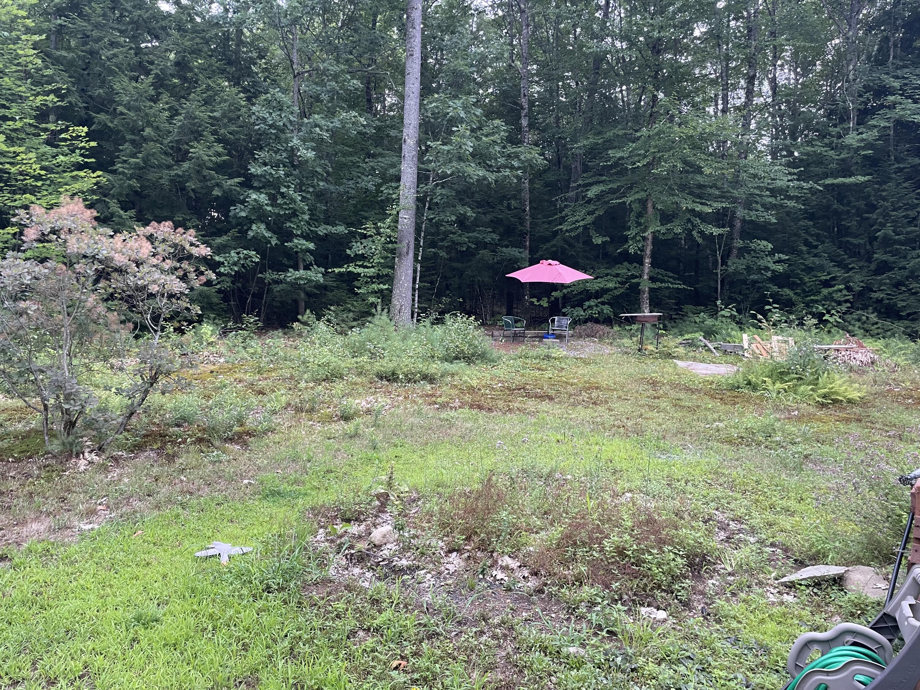 90 New Road Casco, ME 04015 - Photo 28 of 37 Back Yard