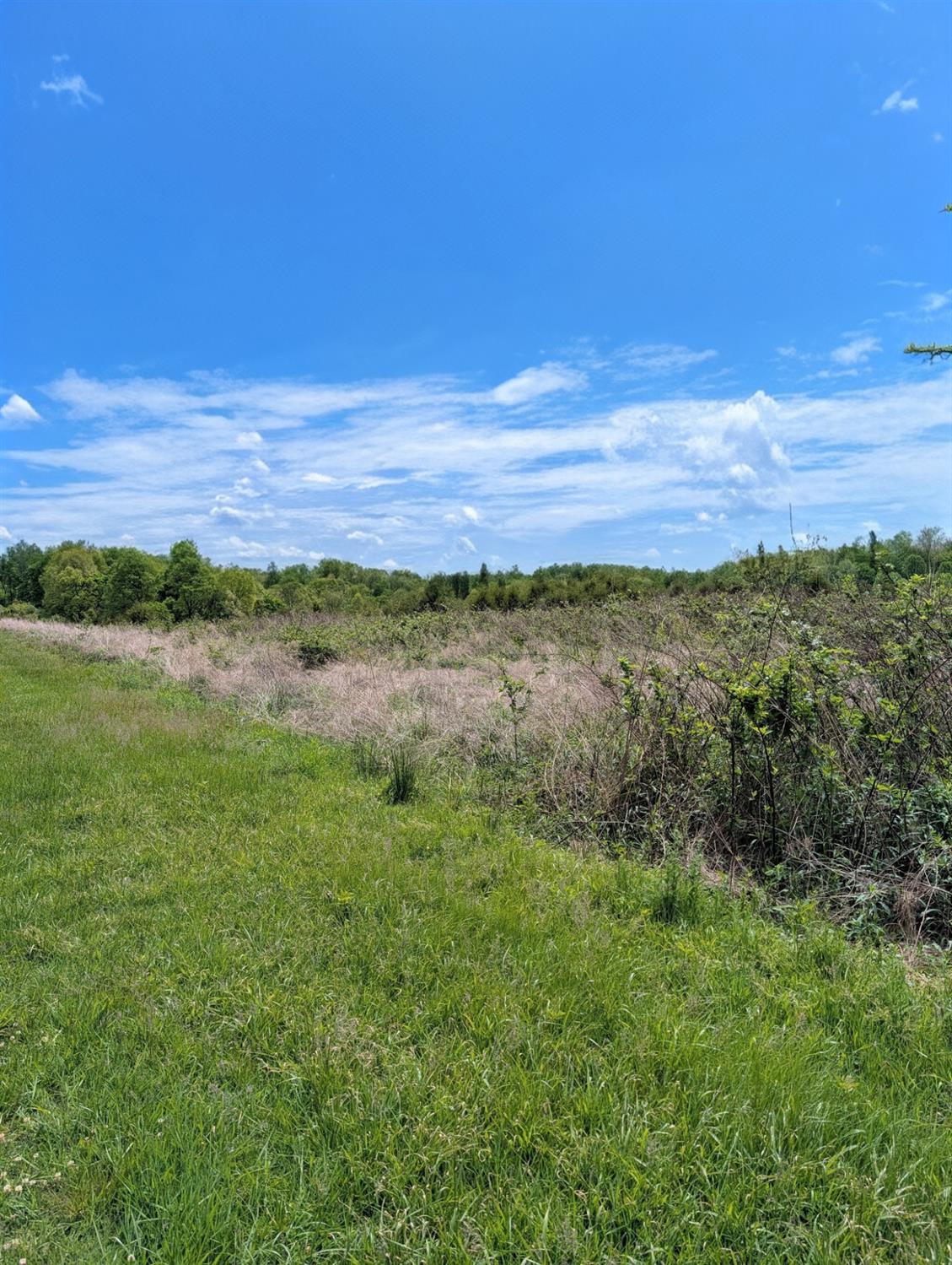 0 Longbranch Road Moores Hill, IN 47032 - Photo 18 of 25