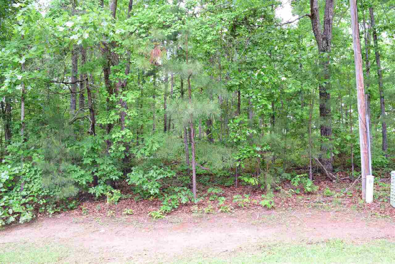 0 Cates Road, Unit LOT B Newnan, GA 30263 - Photo 1 of 1 a view of a park with a tree in the background