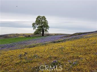 2920 Clark Road, Unit L6 Butte Valley, CA 95965 - Photo 7 of 26 a view of ocean view with beach