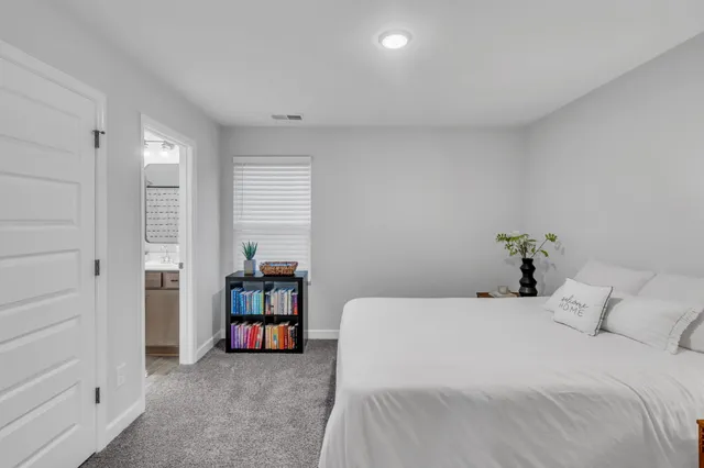 a bedroom with a bed and a closet