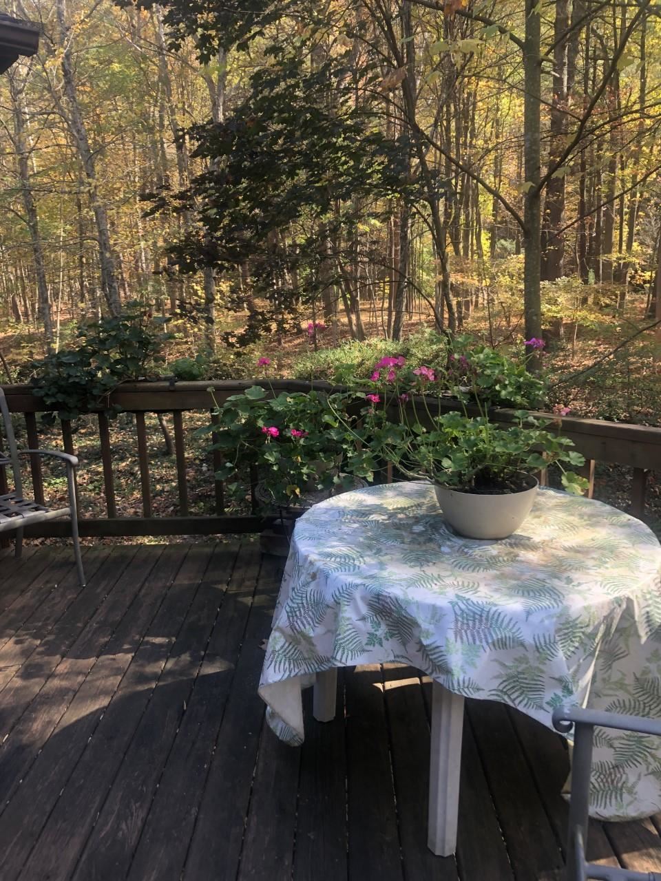 23359 German River Road Criders, VA 22820 - Photo 15 of 39 a view of a backyard with furniture