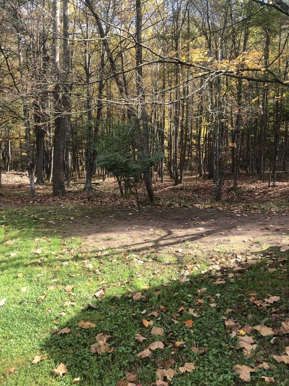 23359 German River Road Criders, VA 22820 - Photo 19 of 39 a backyard of a house with lots of green space