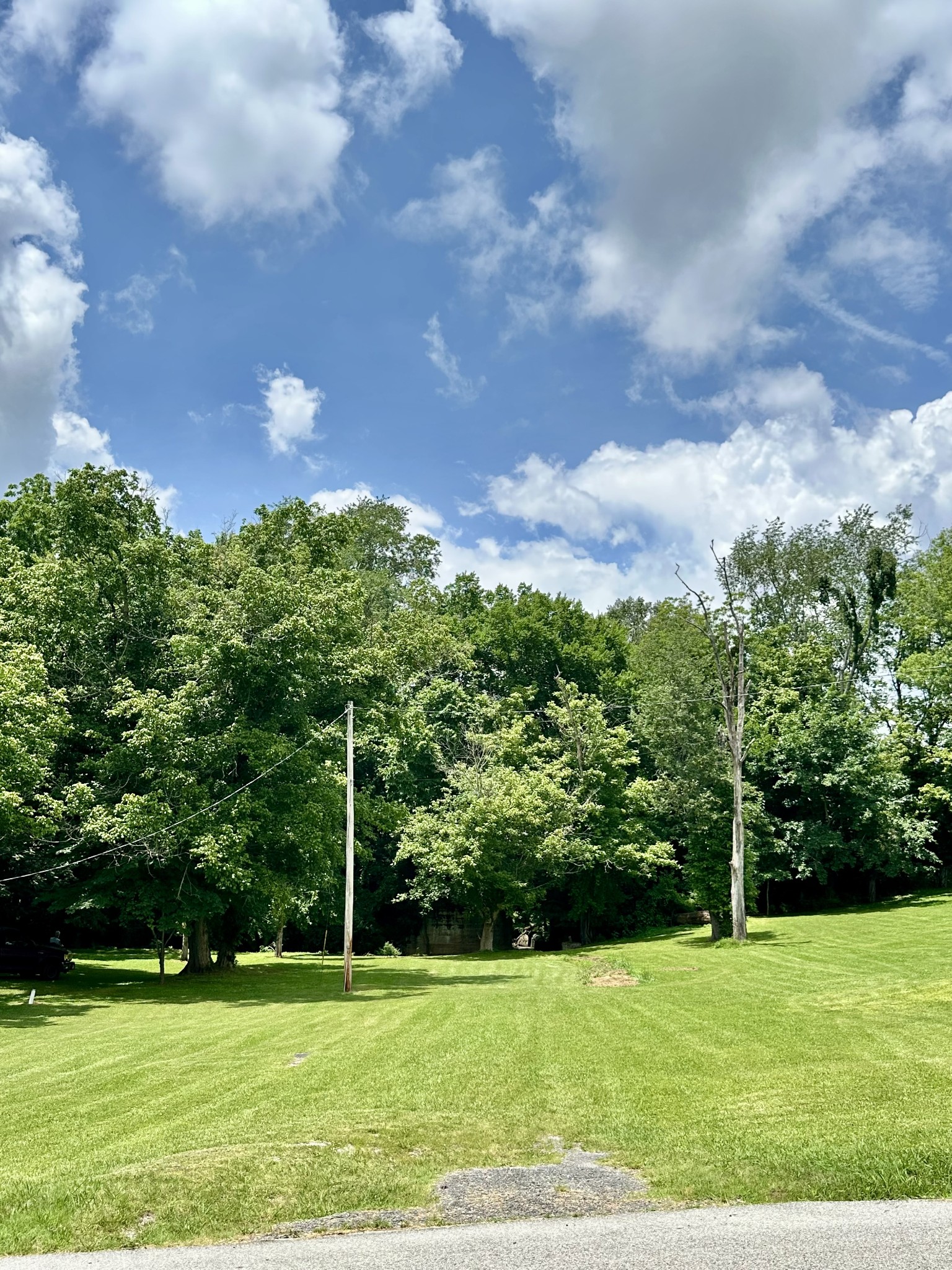 434 South Ramsey Street Manchester, TN 37355 - Photo 4 of 4 a view of a grassy field with trees
