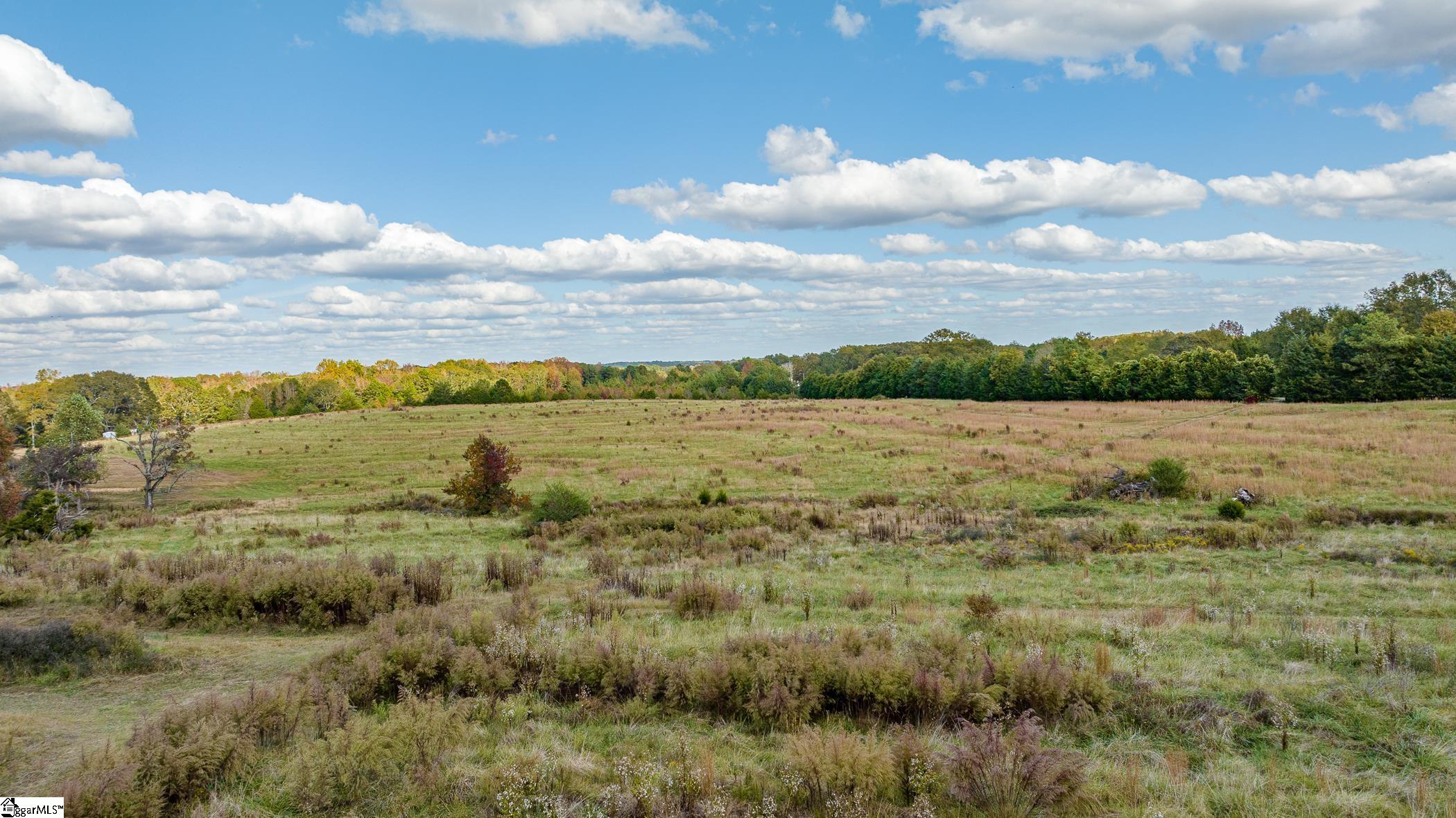 Thackston Road Fountain Inn, SC 29644 - Photo 12 of 26