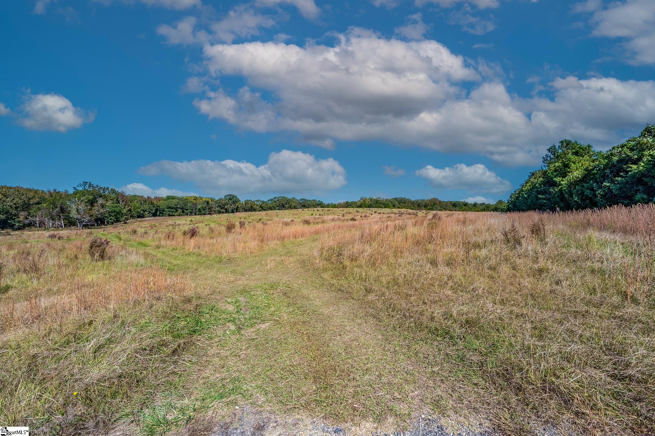 Thackston Road Fountain Inn, SC 29644 - Photo 13 of 26