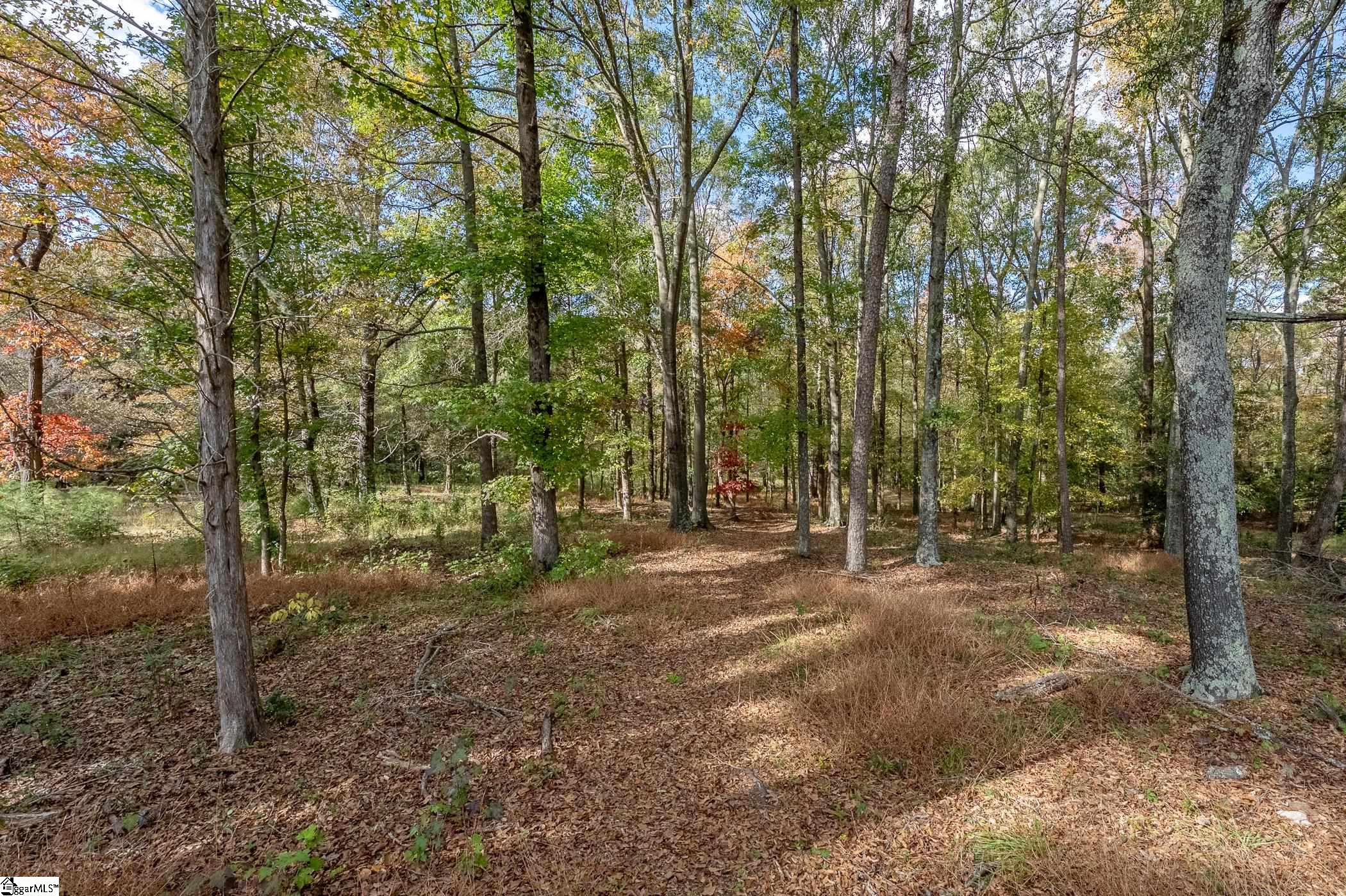 Thackston Road Fountain Inn, SC 29644 - Photo 15 of 26