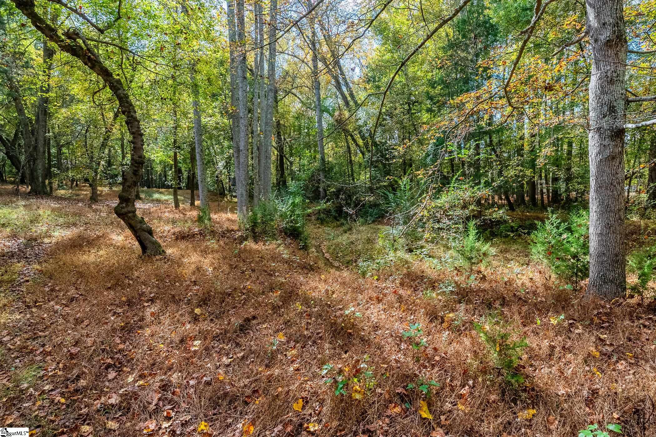 Thackston Road Fountain Inn, SC 29644 - Photo 16 of 26