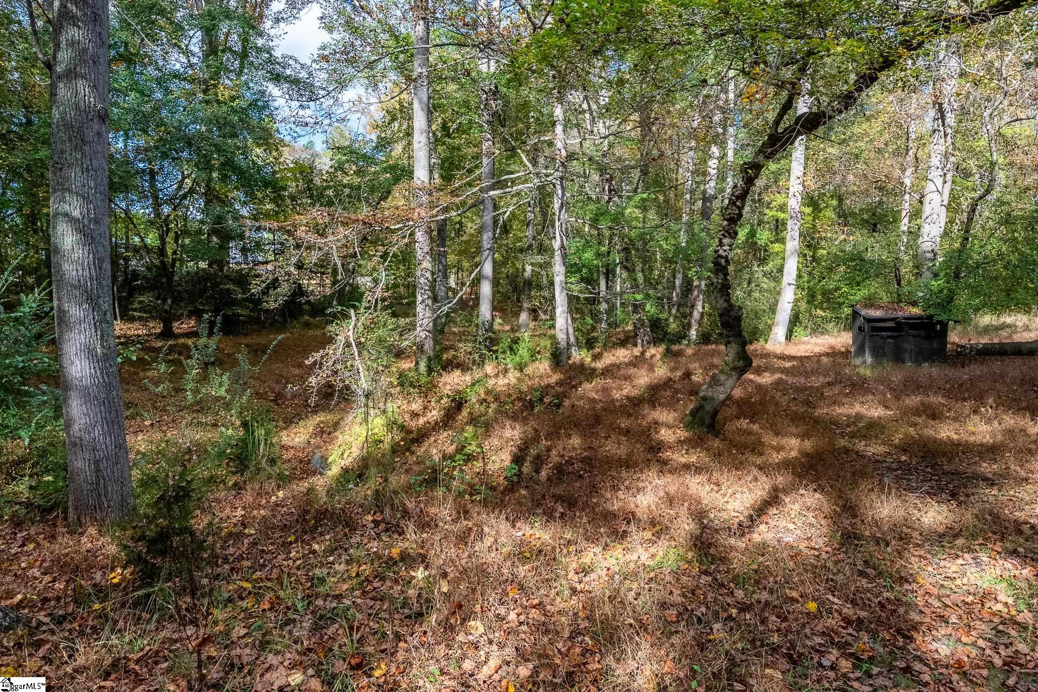 Thackston Road Fountain Inn, SC 29644 - Photo 18 of 26