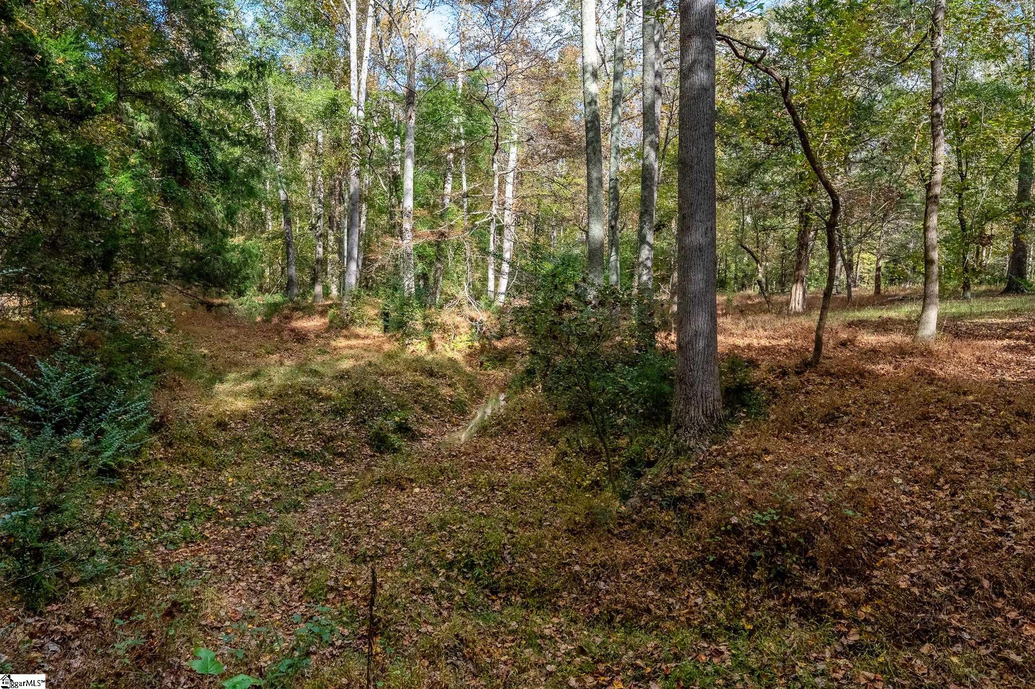 Thackston Road Fountain Inn, SC 29644 - Photo 20 of 26