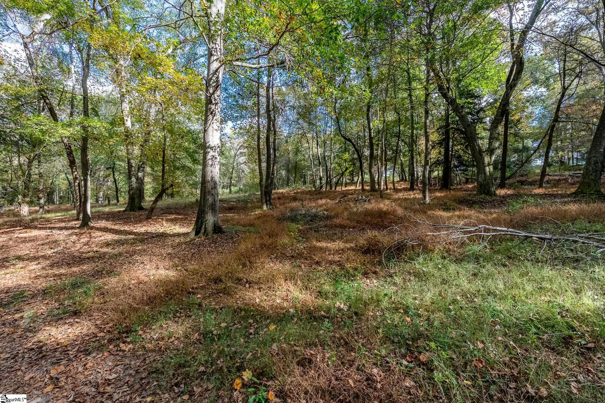 Thackston Road Fountain Inn, SC 29644 - Photo 21 of 26