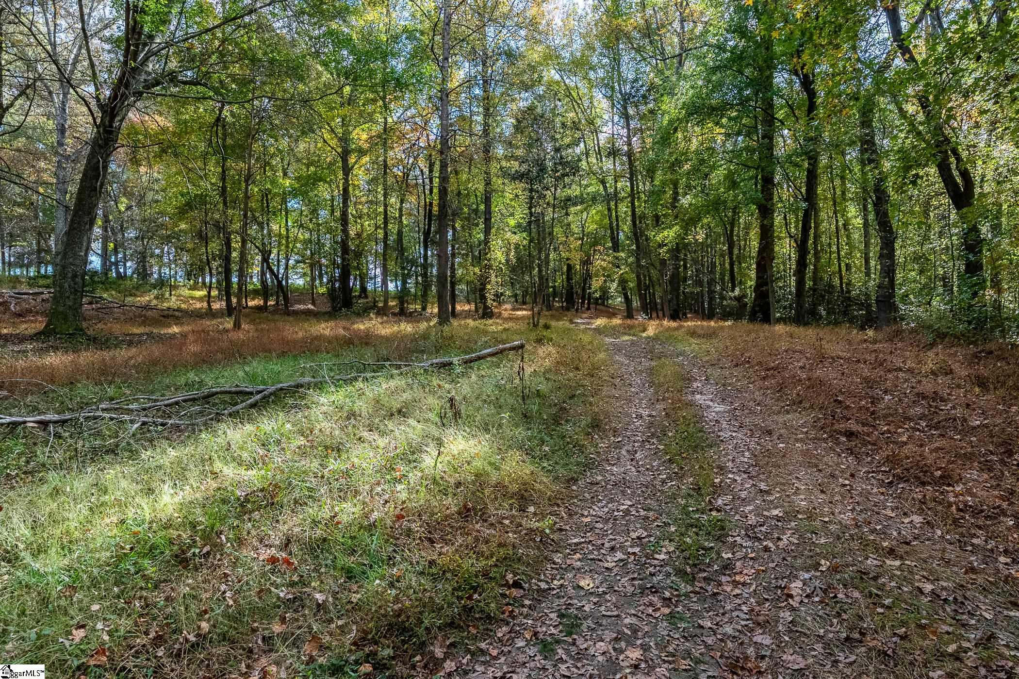 Thackston Road Fountain Inn, SC 29644 - Photo 22 of 26