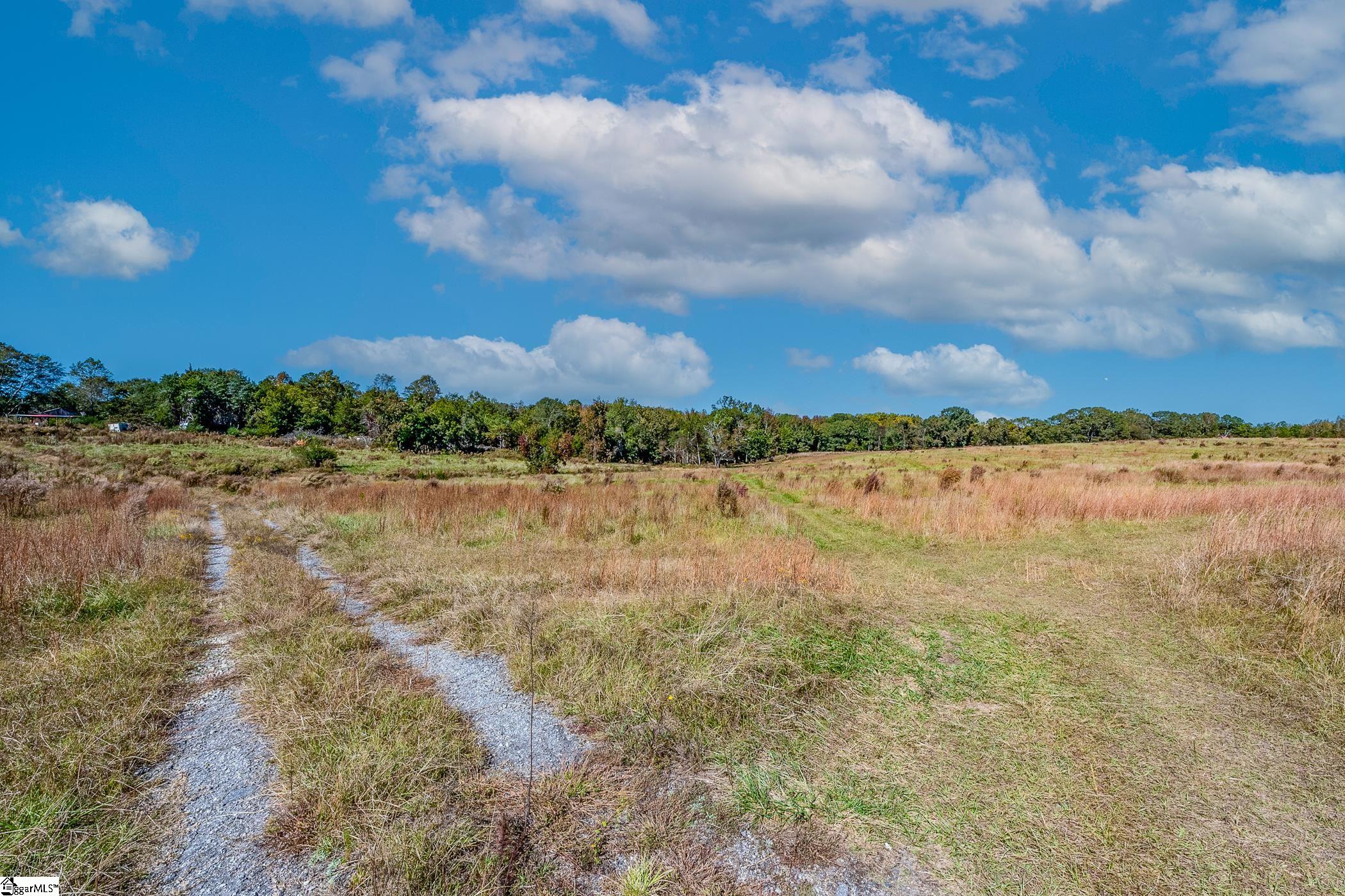 Thackston Road Fountain Inn, SC 29644 - Photo 6 of 26