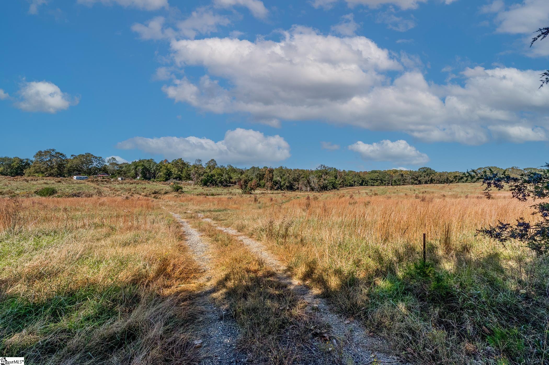 Thackston Road Fountain Inn, SC 29644 - Photo 7 of 26