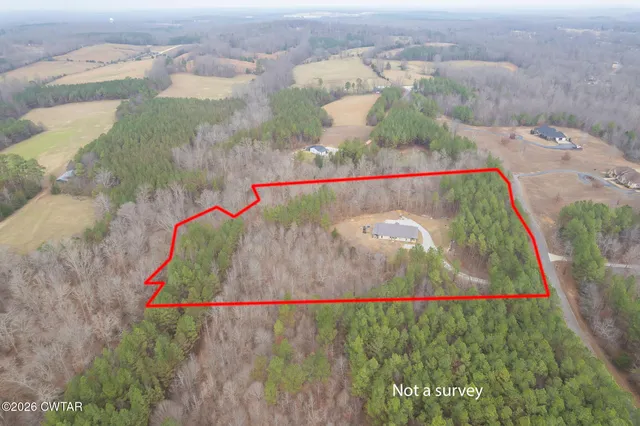 a view of a yard with large trees