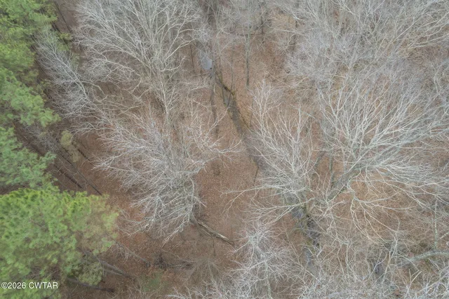 $575,000 | 389 Wayne Townsend Road, Parsons, TN 38363