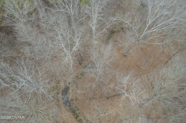 $575,000 | 389 Wayne Townsend Road, Parsons, TN 38363