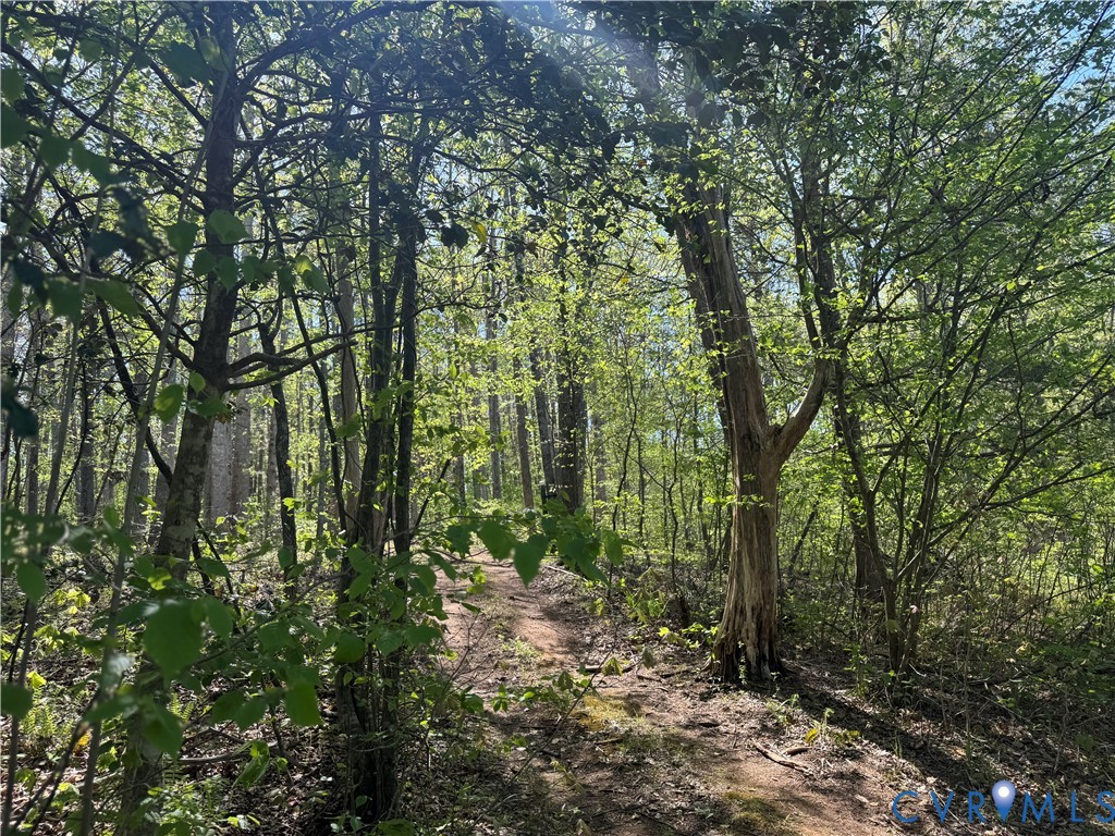 14430 Overlook Ridge Lane Beaverdam, VA 23015 - Photo 68 of 71 a view of forest