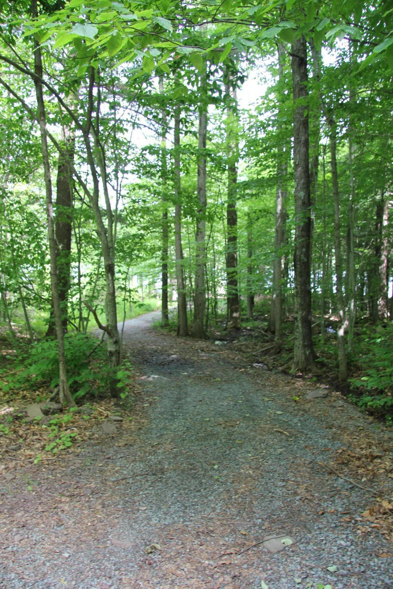 507 Duck Harbor Road Equinunk, PA 18417 - Photo 19 of 23 Lane to access area on Lake