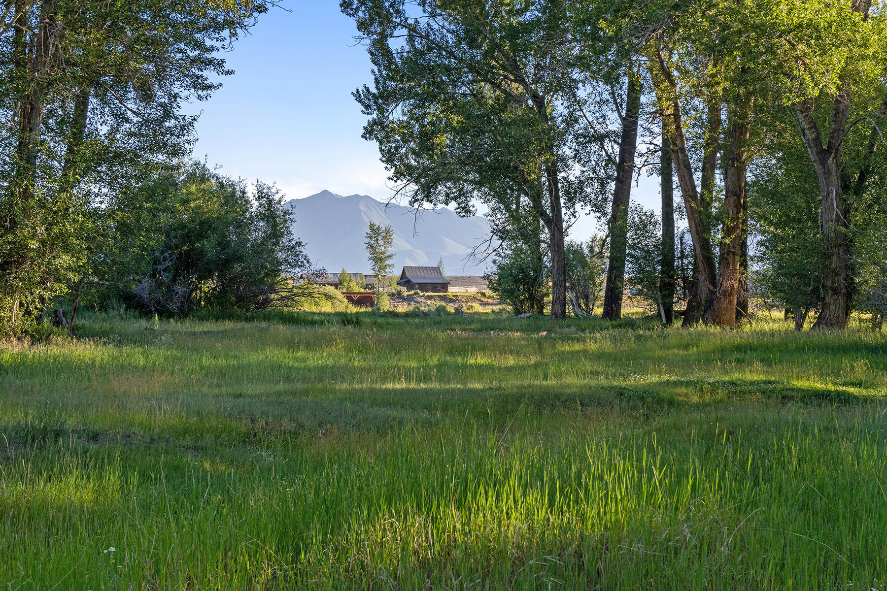 6139 Trail Creek Road Mackay, ID 83251 - Photo 85 of 100 085-big-lost