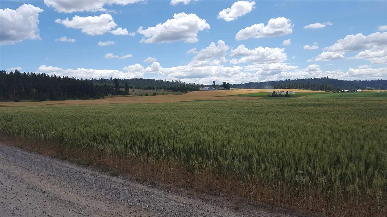 11022 East Taylor Road Mead, WA 99021 - Photo 1 of 8