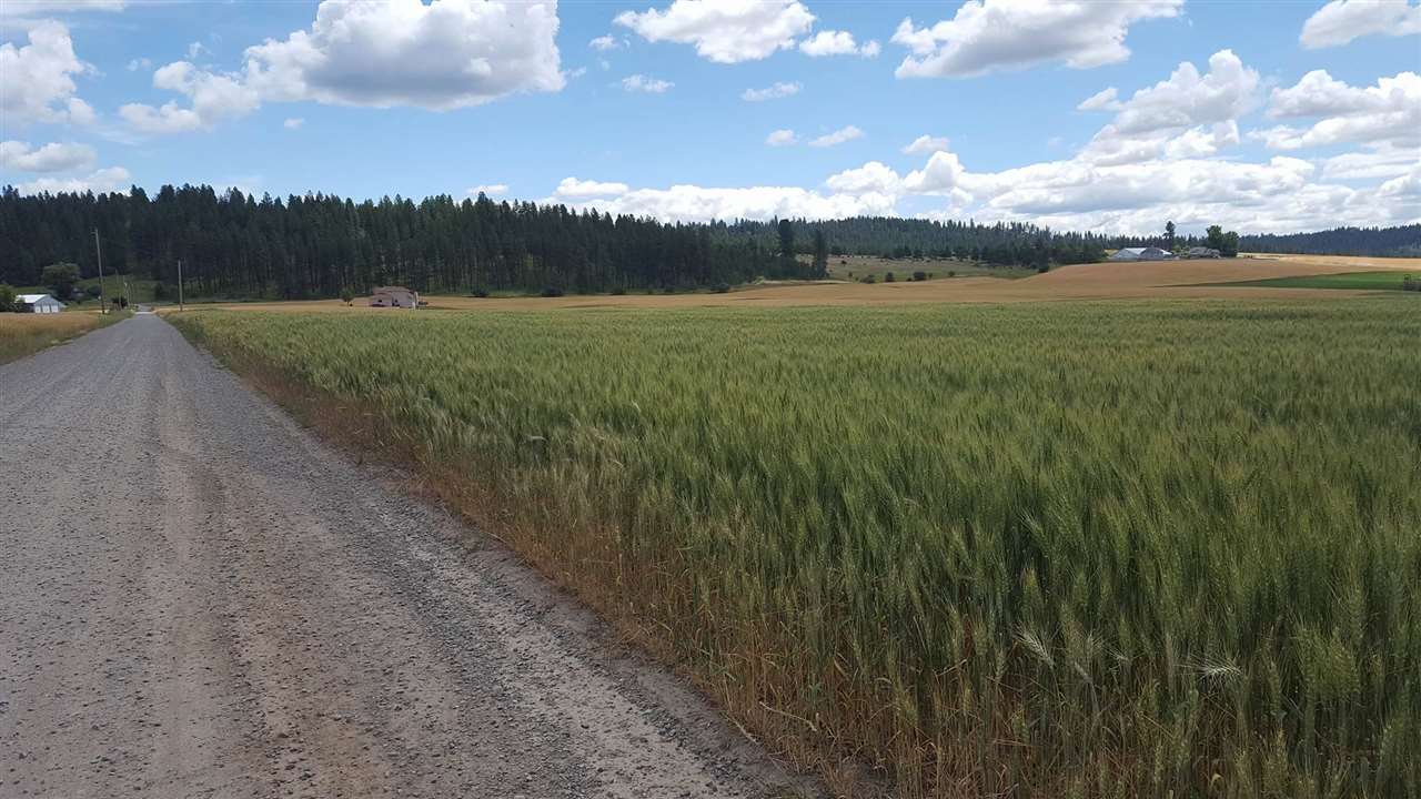 11022 East Taylor Road Mead, WA 99021 - Photo 3 of 8