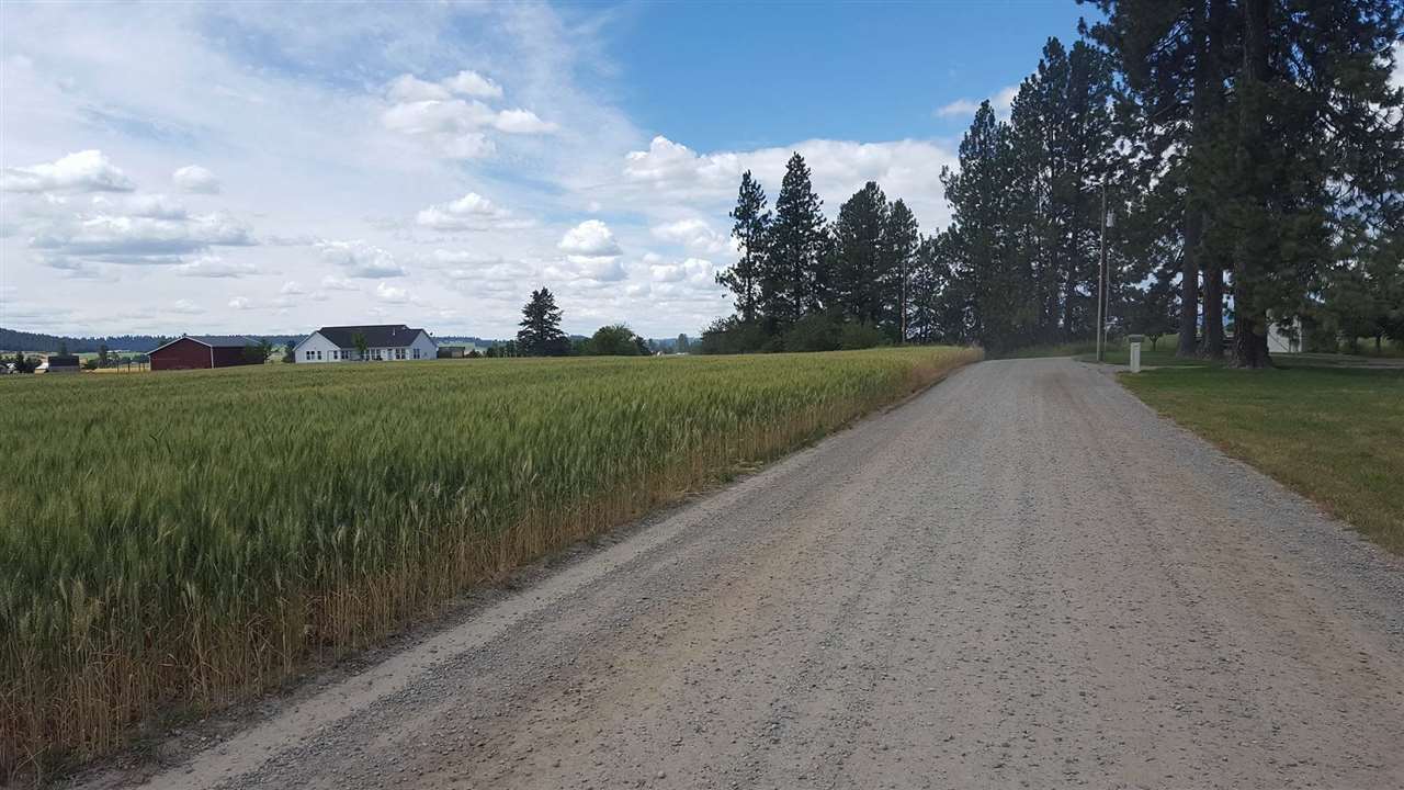 11022 East Taylor Road Mead, WA 99021 - Photo 4 of 8