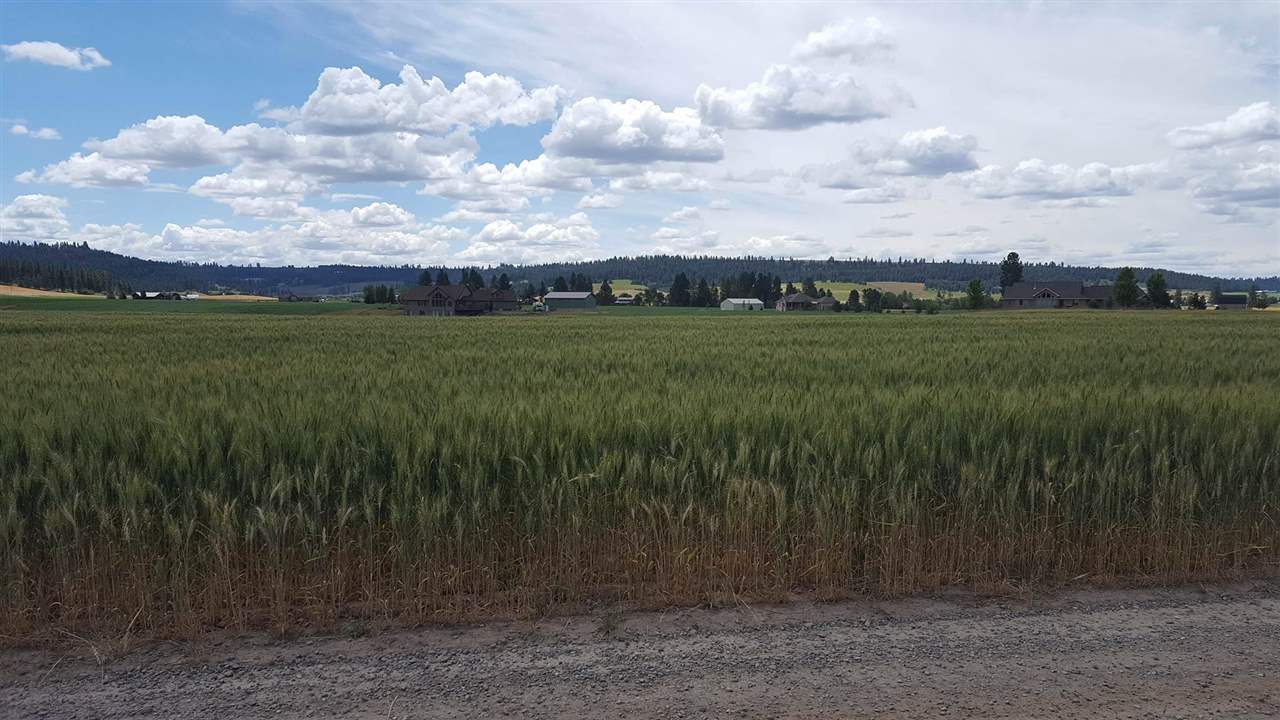 11022 East Taylor Road Mead, WA 99021 - Photo 5 of 8